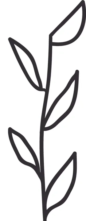 手绘花卉元素