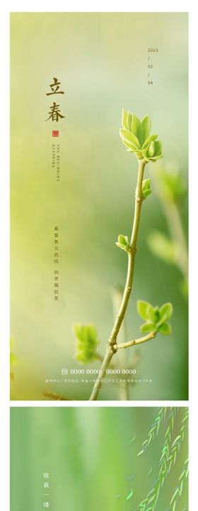 立春节气海报