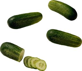 黄瓜