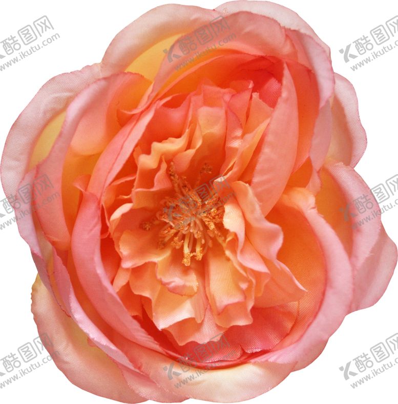 编号：45271910311125461247【酷图网】源文件下载-复古花朵植物图案