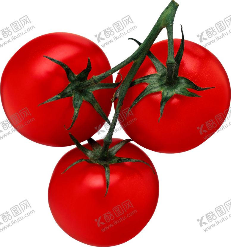 编号：96592102021803388792【酷图网】源文件下载-番茄