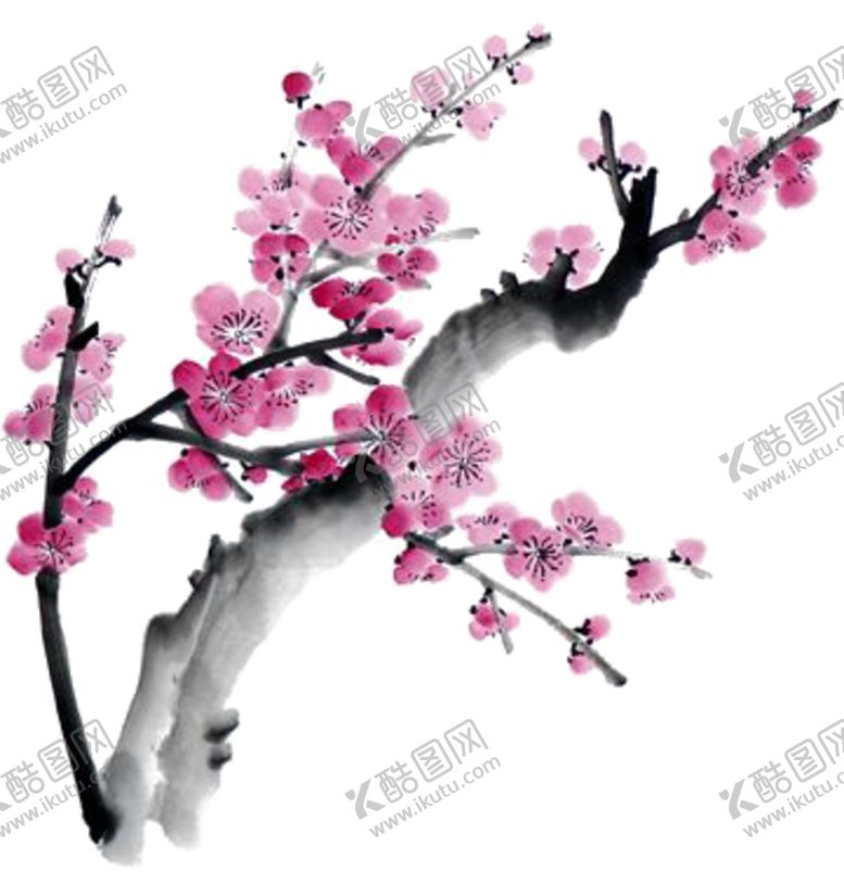 编号：20098310311902359098【酷图网】源文件下载-中国风水墨梅