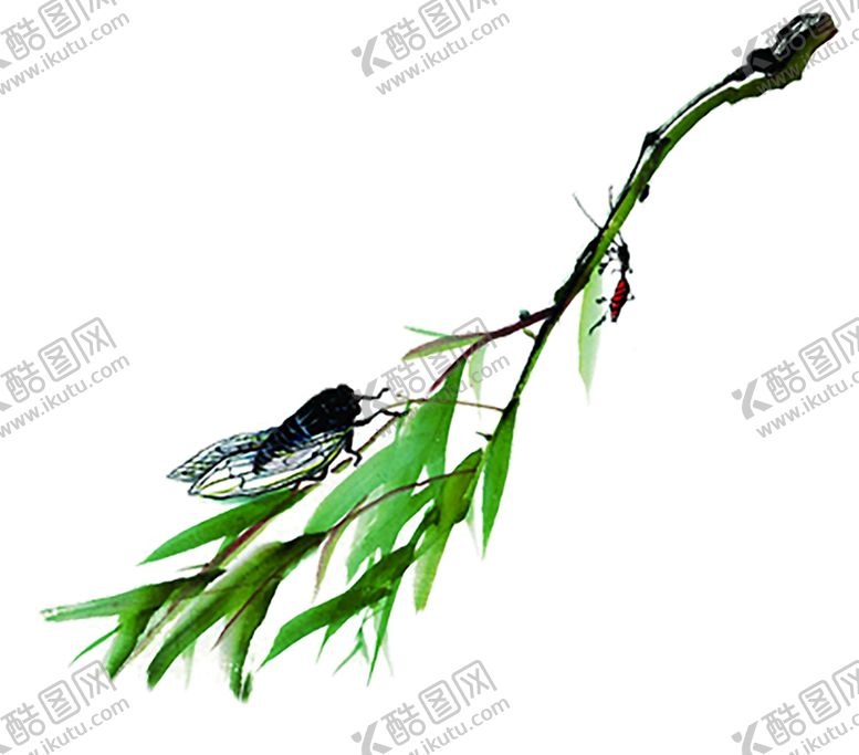 编号：13381010110951014579【酷图网】源文件下载-竹子