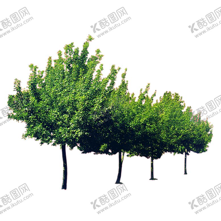 编号：22751911012212532783【酷图网】源文件下载-绿色相框