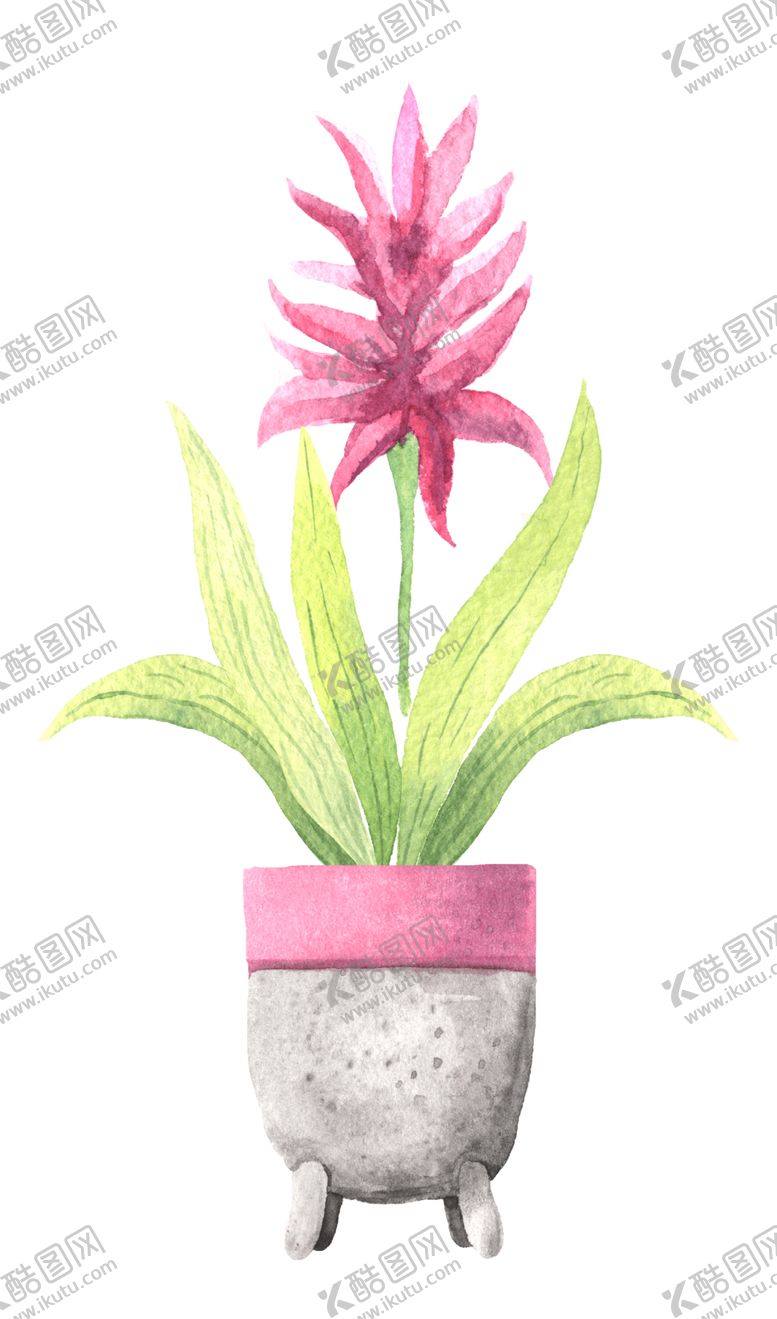编号：92717706270102126774【酷图网】源文件下载-绿色家庭植物