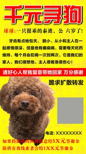 寻狗启事