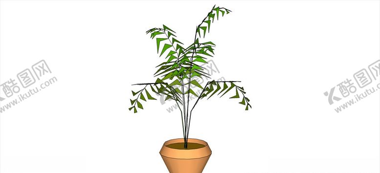 编号：35955309182239079546【酷图网】源文件下载-散尾葵植物模型