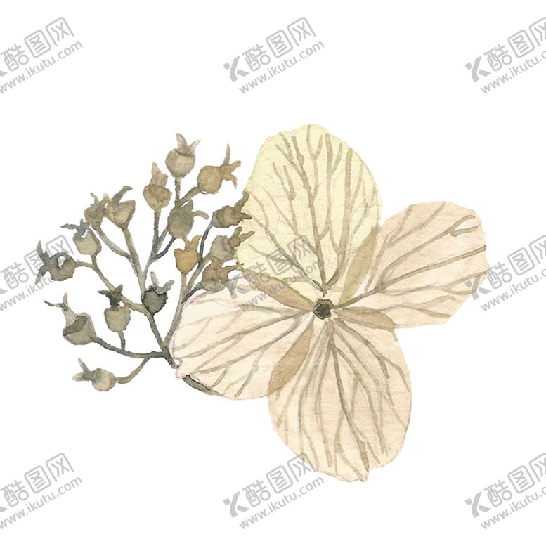 编号：80967901271335279079【酷图网】源文件下载-花 简约