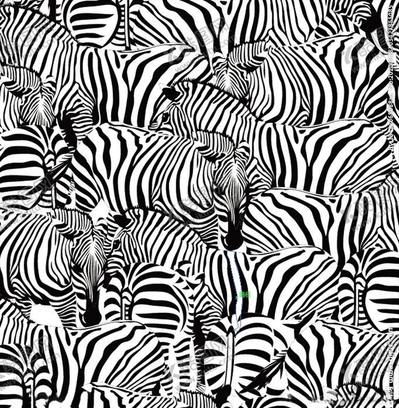 编号：12042809100003381935【酷图网】源文件下载-斑马