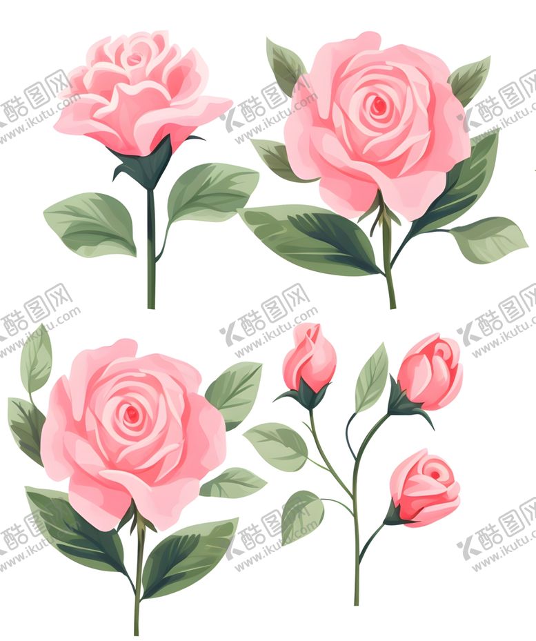 编号：99789912230216041689【酷图网】源文件下载-玫瑰花图片