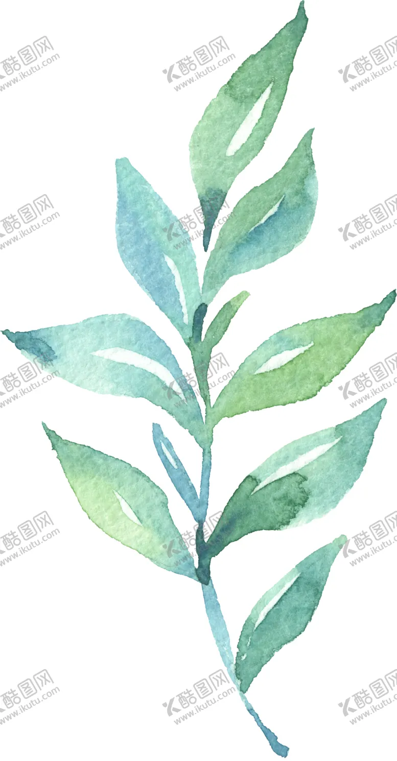 编号：33295806241124154787【酷图网】源文件下载-水彩手绘花卉花朵植物