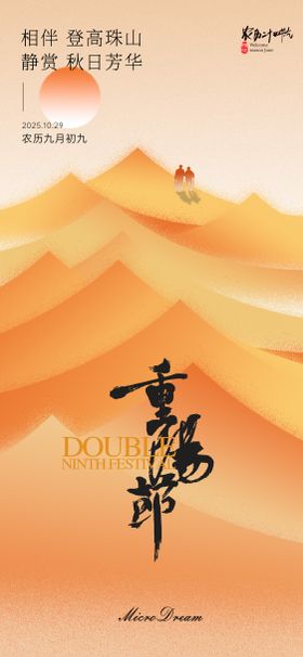 重阳节气海报 