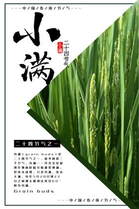 小满海报