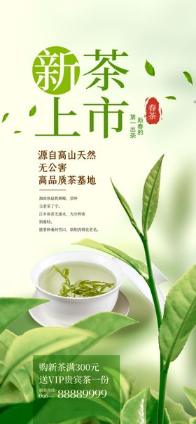 手机端新茶上市海报