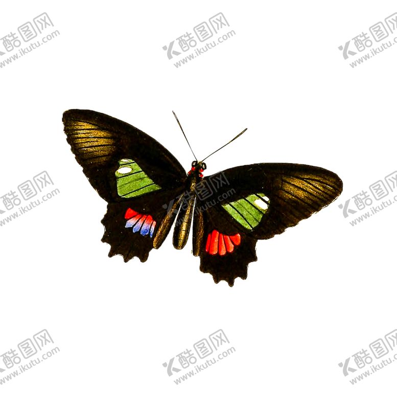 编号：94609909102209001896【酷图网】源文件下载-蝴蝶透明PNG免扣