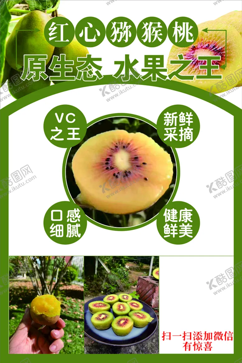 编号：95455301300646115743【酷图网】源文件下载-猕猴桃