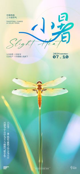 小暑海报二十四节气夏天蜻蜓