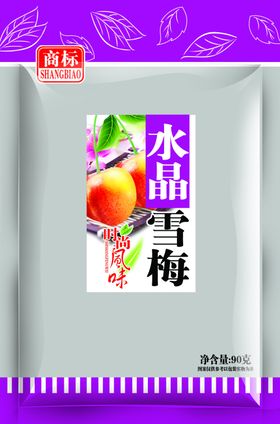 国风国画小雪二十四节气雪梅红杏