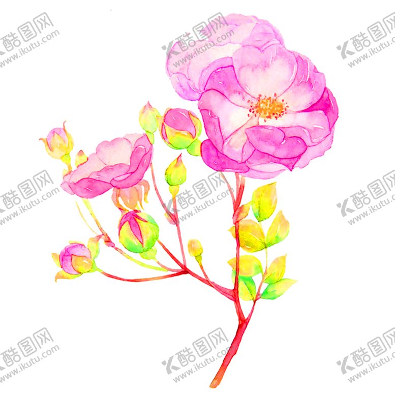 编号：70266409200625185523【酷图网】源文件下载-花素材