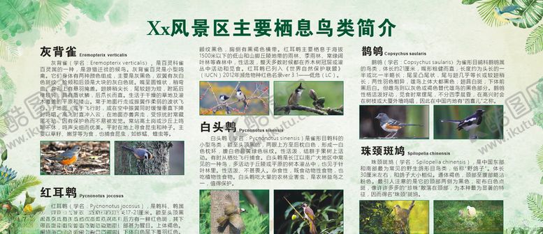 编号：98214610271008341571【酷图网】源文件下载-鸟类简介海报