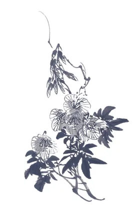 百花争艳国画朵水墨画