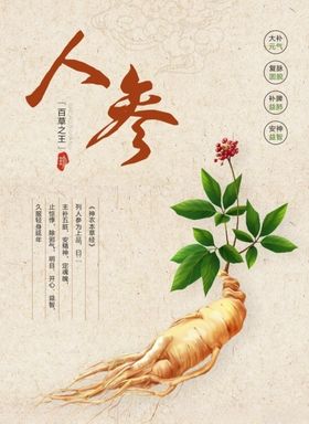 人参海报简介