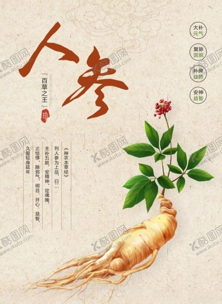 编号：56805405190919155769【酷图网】源文件下载-人参海报简介