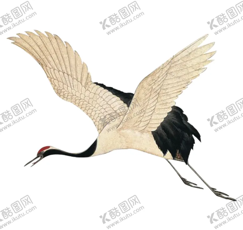 编号：30847504060844233074【酷图网】源文件下载-古风插画白鹤丹顶鹤鸟