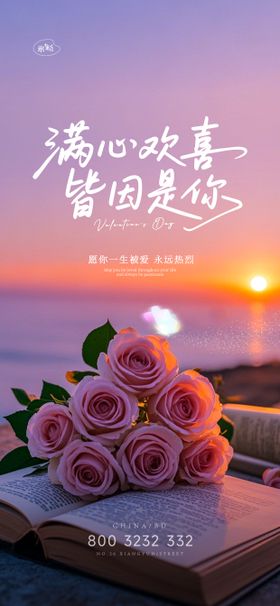 520情人节海报