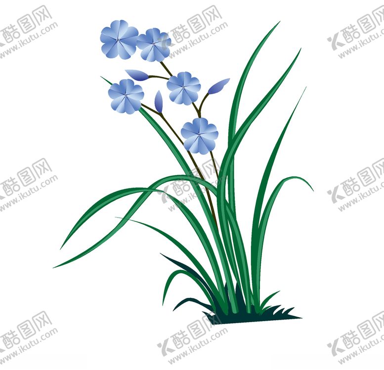 编号：12513109171519207654【酷图网】源文件下载-兰花插画