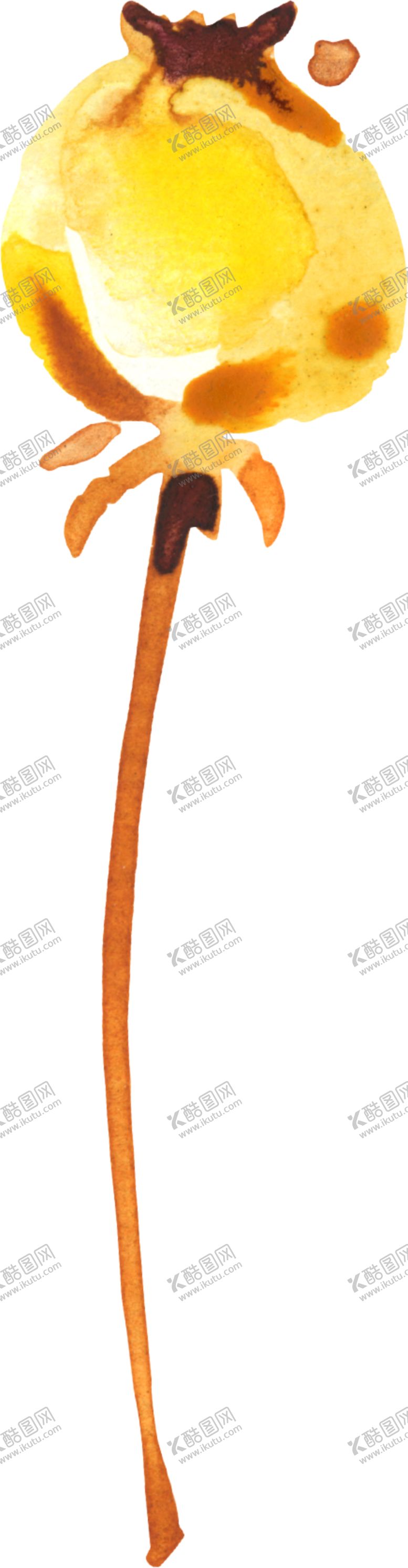 编号：57284205141658474115【酷图网】源文件下载-水彩手绘花卉花朵植物