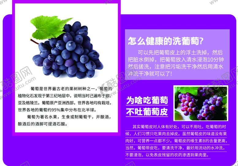 编号：19429912221423009751【酷图网】源文件下载-葡萄店教