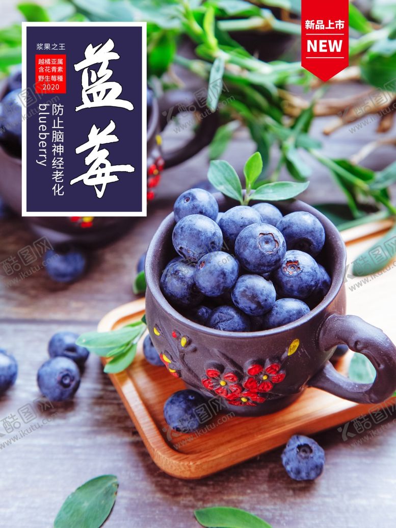 编号：68939403310236117056【酷图网】源文件下载-蓝莓