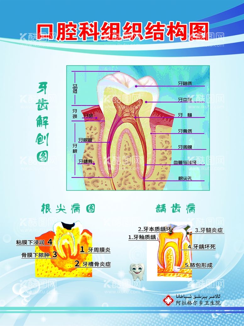 编号：19183811301656472712【酷图网】源文件下载-口腔科组织结构图