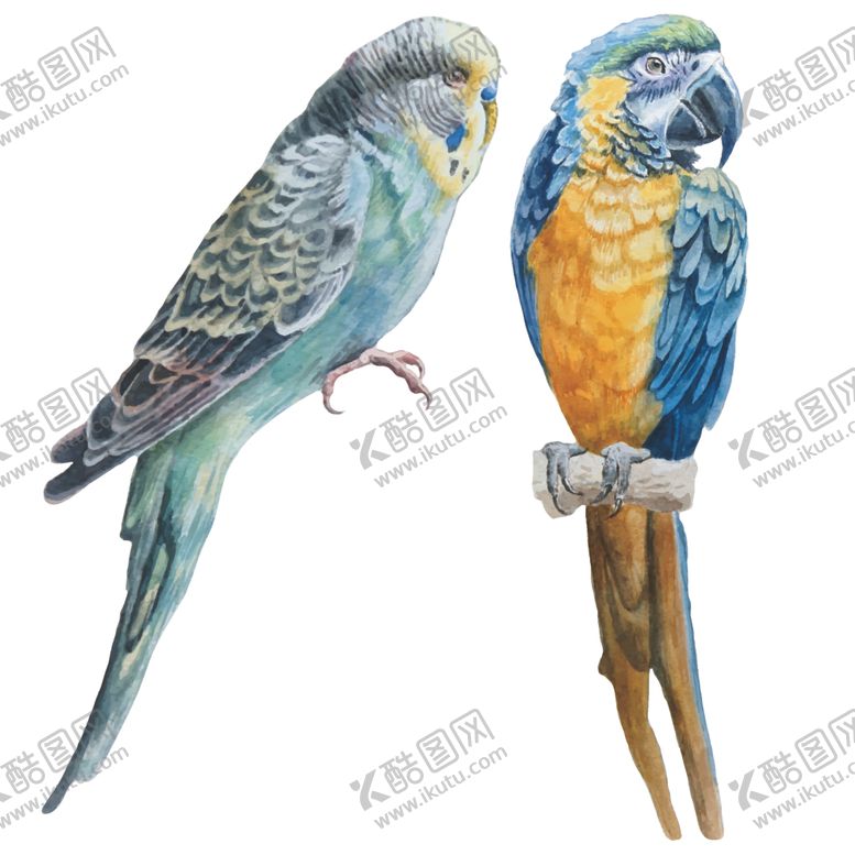 编号：50588507140710218896【酷图网】源文件下载-热带水果花鸟鹦鹉印花