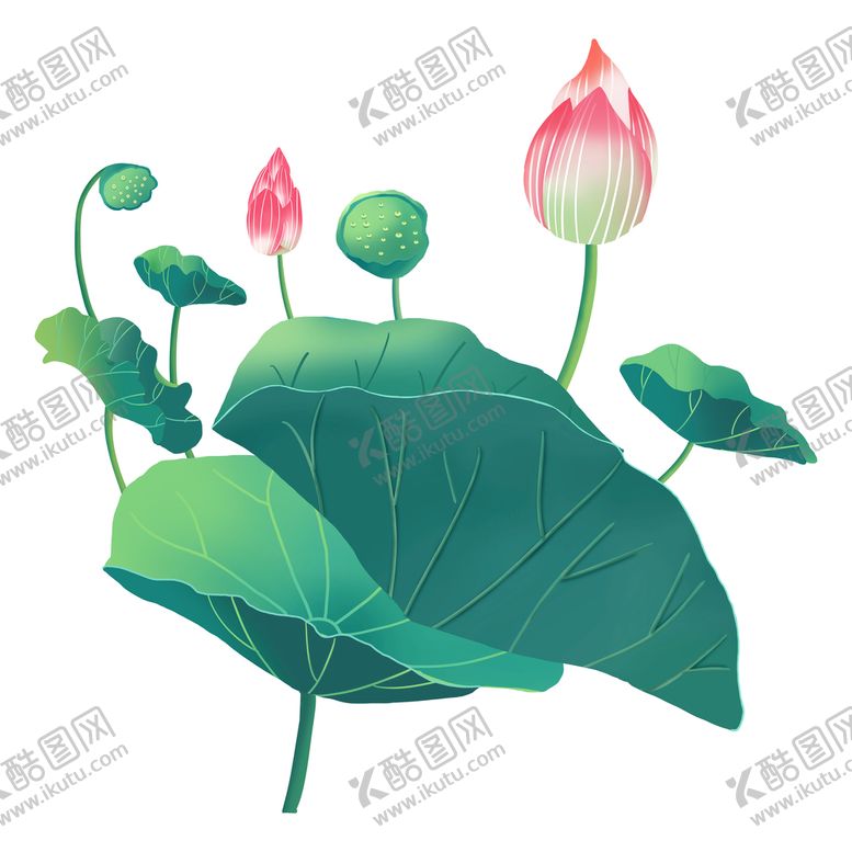 编号：19327809160601572419【酷图网】源文件下载-荷花 荷叶
