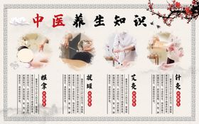 中医养生知识宣传海报
