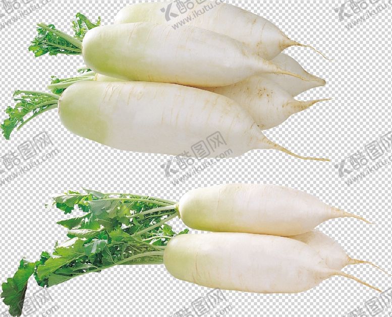 编号：83454809230606049818【酷图网】源文件下载-萝卜