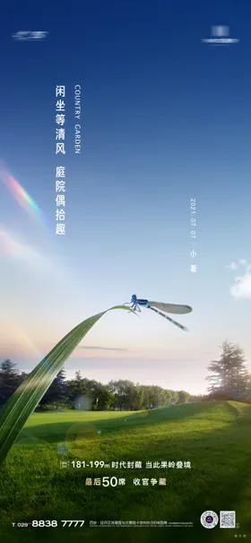 节气小暑海报