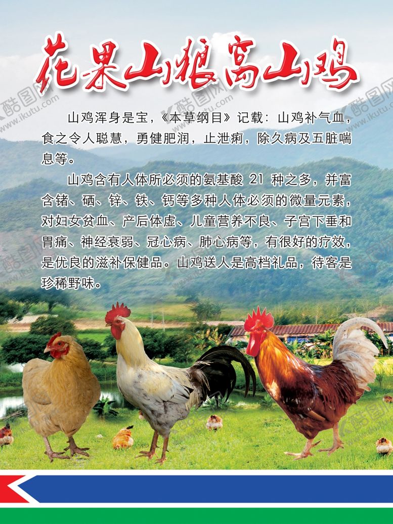 编号：26349102150034442670【酷图网】源文件下载-花果山狼窝山鸡