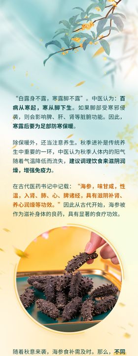 秋参公众号长图