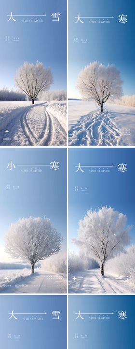 小雪大雪小寒大寒24节气海报