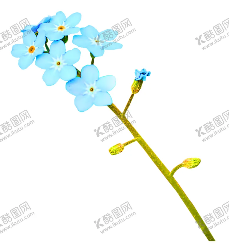 编号：71071006250228526153【酷图网】源文件下载-花素材