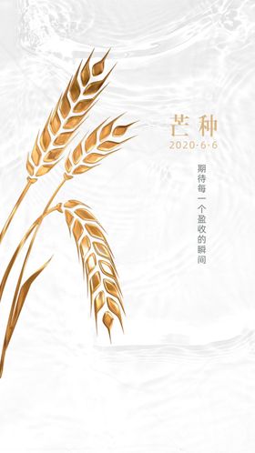 芒种24节气海报