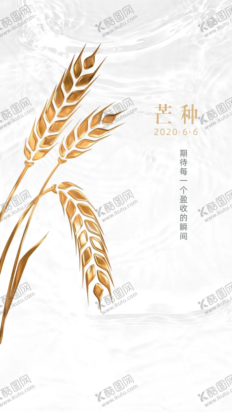 编号：45803806262000158599【酷图网】源文件下载-芒种24节气海报