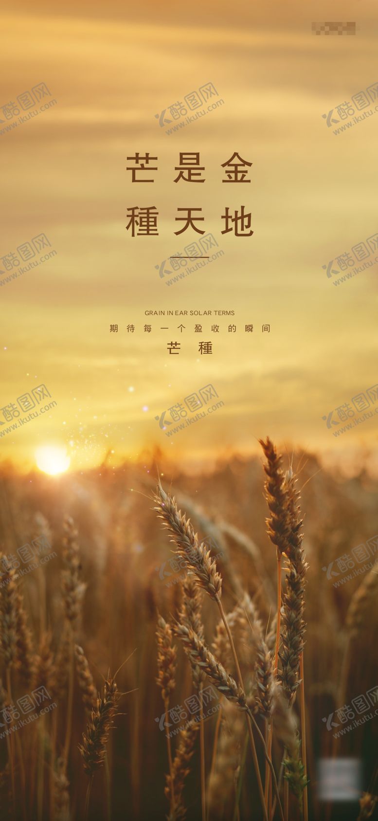 编号：31281606260140443550【酷图网】源文件下载-芒种