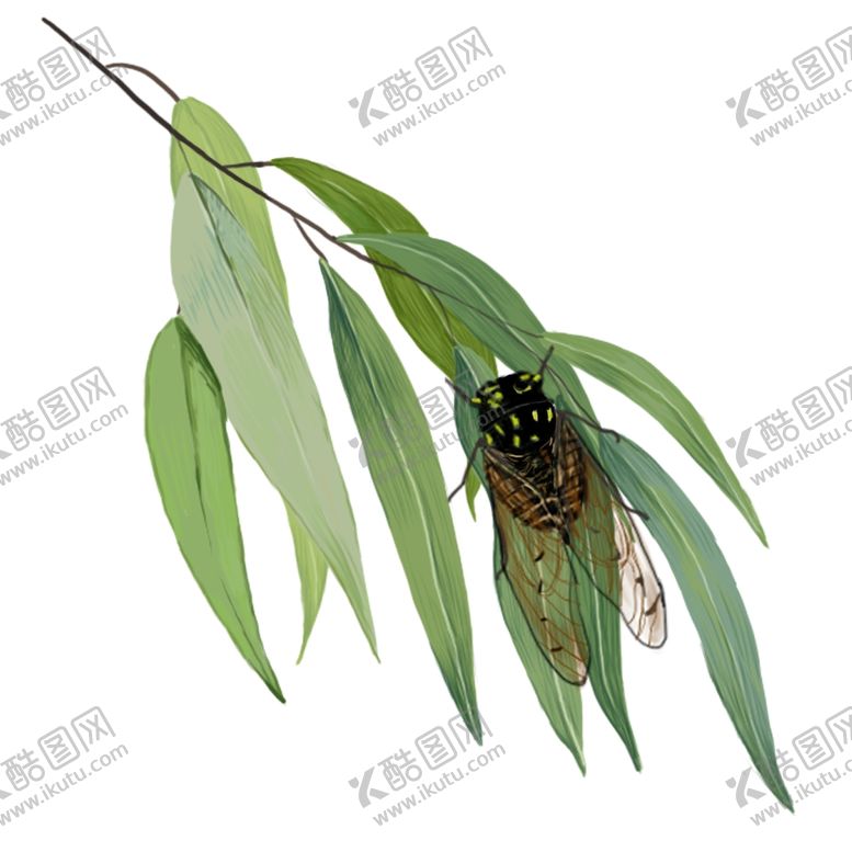 编号：36575210080638564054【酷图网】源文件下载-树叶蝉夏季装饰古风清新素材