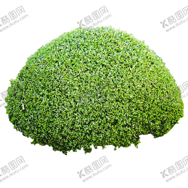 编号：25566410031040314936【酷图网】源文件下载-绿色植物