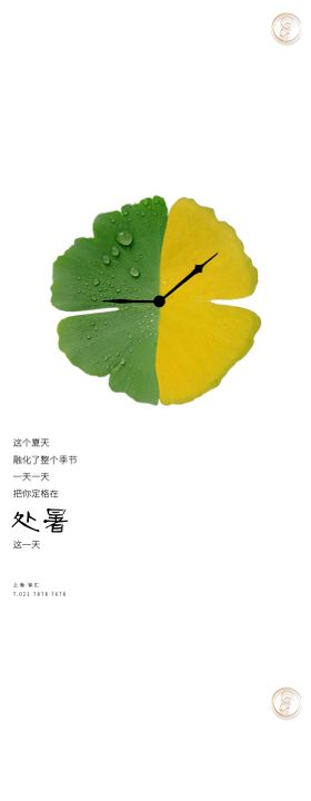 处暑节气稿