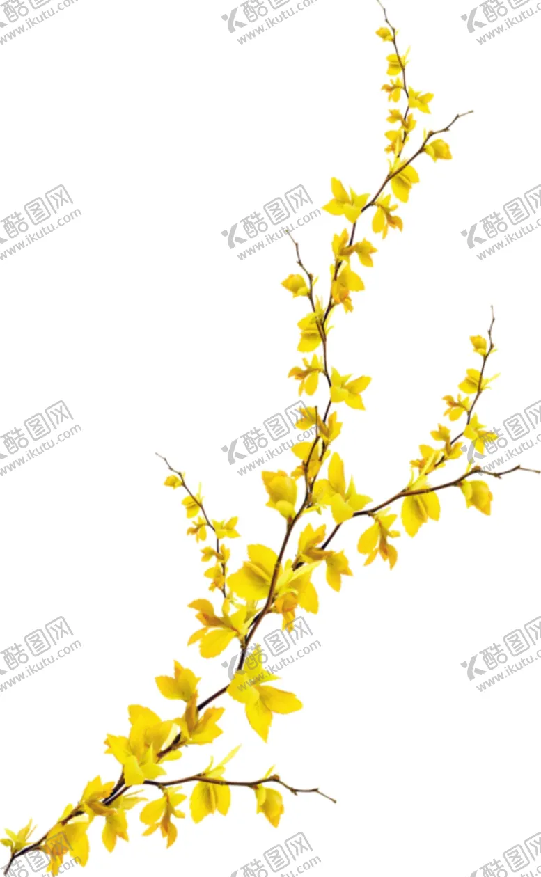 编号：88852604180856432198【酷图网】源文件下载-树枝
